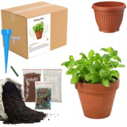 ZESTAW DO UPRAW Bazylia Nasiona Ziemia Drzewko Oliwne MAŁY OGRODNIK BIO EKO