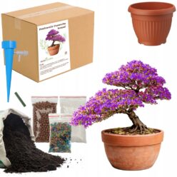 ZESTAW DO UPRAW PAULOWNIA DRZEWKO Doniczka Nasiona ziemia MAŁY OGRODNIK BIO