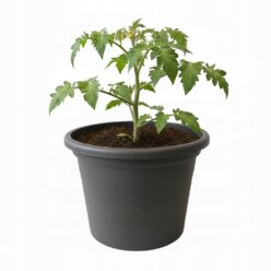 DONICZKA PLASTIKOWA 29,5CM NA BALKON TARAS GRAFIT MOCNA OZDOBNA PRODUKCYJNA