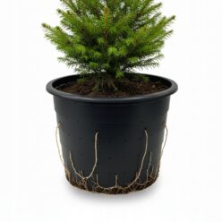 DONICZKA PLASTIKOWA AŻUR 26cm DO UPRAWY W ZIEMII GRAFIT MOCNA PRODUKCYJNA