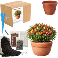 ZESTAW DO UPRAW PAPRYKA OZDOBNA Doniczka Nasiona ziemia MAŁY OGRODNIK BIO