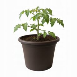 DONICZKA PLASTIKOWA 29,5CM NA BALKON TARAS BRĄZ MOCNA OZDOBNA PRODUKCYJNA