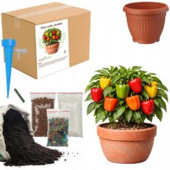 ZESTAW DO UPRAW PAPRYKA SŁODKA Doniczka Nasiona ziemia MAŁY OGRODNIK BIO