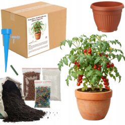 ZESTAW DO UPRAW POMIDOR KOKTAJLOWY Per Doniczka Nasiona ziemia OGRODNIK BIO