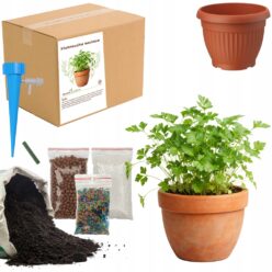 ZESTAW DO UPRAW PIETRUSZKA Doniczka Nasiona ziemia MAŁY OGRODNIK BIO