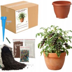 ZESTAW DO UPRAW POMIDOR KOKTAJLOWY BLC Doniczka Nasiona ziemia OGRODNIK BIO